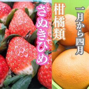 ふるさと納税 旬の果物詰め合わせ定期便10回 ...の詳細画像1