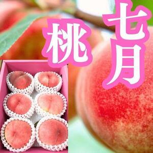 ふるさと納税 旬の果物詰め合わせ定期便10回 ...の詳細画像2
