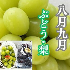 ふるさと納税 旬の果物詰め合わせ定期便10回 ...の詳細画像3