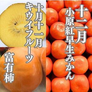 ふるさと納税 旬の果物詰め合わせ定期便10回 ...の詳細画像4