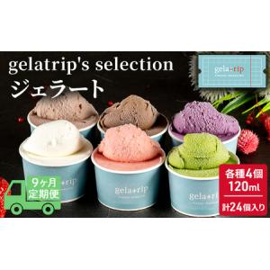 ふるさと納税 ≪9ヵ月定期便≫ジェラート24個 gelatrip's selection 北海道 上富良野町 北海道上富良野町