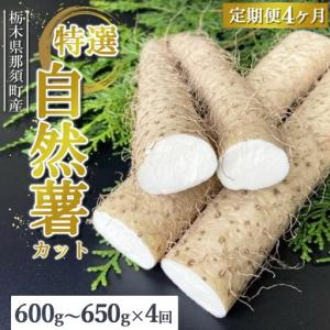 ふるさと納税 【定期便4ヵ月】那須町産 自然薯(...の商品画像
