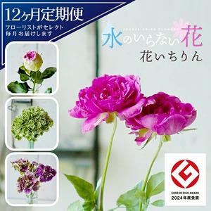 ふるさと納税 SL0225　【12回定期便】水のいらない花　ゼロフラワー定期便「花いちりん」 山形県酒田市