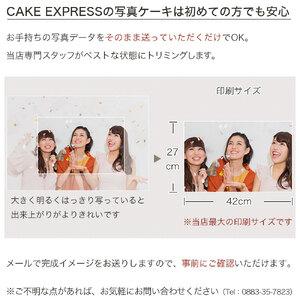 ふるさと納税 ケーキ 写真ケーキ スクエア 5...の詳細画像3