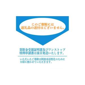 ふるさと納税 【 返礼品なし 300,000円...の詳細画像1