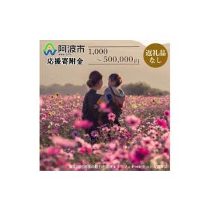 ふるさと納税 【 返礼品なし 500,000円 】 徳島県 阿波市 への 寄附 応援寄附金 徳島県阿波市
