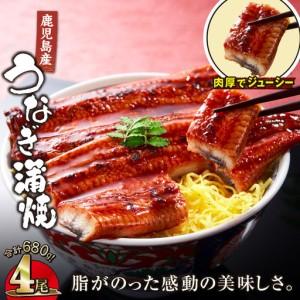 ふるさと納税 【 土用の丑の日特集 】 2444...の商品画像