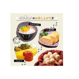 ふるさと納税 京丹波 こだわり卵 葉酸たまご ...の詳細画像2
