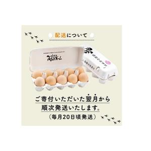 ふるさと納税 京丹波 こだわり卵 葉酸たまご ...の詳細画像4