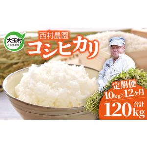 ふるさと納税 米 コシヒカリ 米 【12回定期便】合計120kg 令和7年 コシヒカリ コシヒカリ コシヒカリ 福島県大玉村