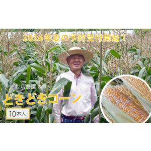 ブロリコ 90錠 2個セット : 元気になるお薬屋さん - 通販 - Yahoo