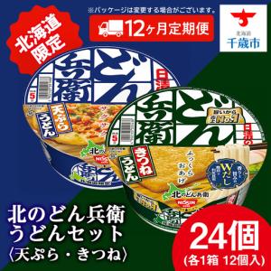 ふるさと納税 【定期便12カ月】日清 北のどん兵...の商品画像