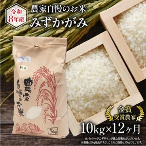 ふるさと納税 【 先行予約 】 令和8年産 にじのきらめき 10kg 12回 米 滋賀県竜王町