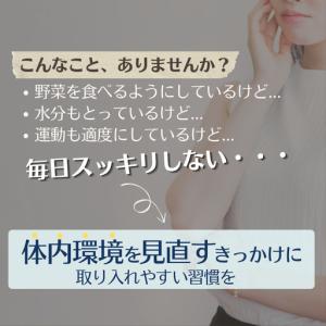 ふるさと納税 【1箱】TVで話題!グアーガム分...の詳細画像2