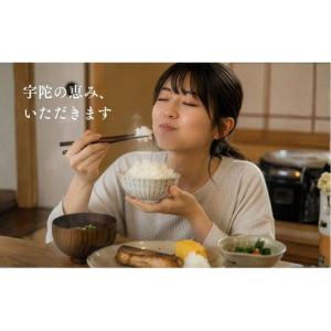 ふるさと納税 にじのきらめき 特別栽培米 5k...の詳細画像1