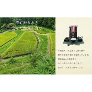ふるさと納税 にじのきらめき 特別栽培米 5k...の詳細画像4