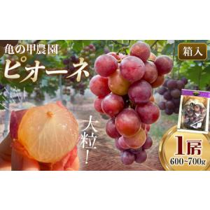 ふるさと納税 【先行予約】【農薬・化学肥料不使用...の商品画像