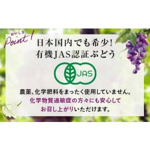ふるさと納税 【先行予約】【農薬・化学肥料不使...の詳細画像3