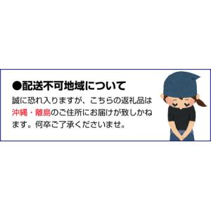 ふるさと納税 わけあり 紀州南高梅 はちみつ漬...の詳細画像2