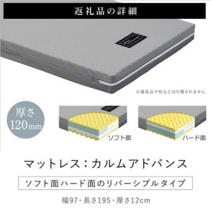 ふるさと納税 【パラマウントベッド】電動ベッド...の詳細画像4