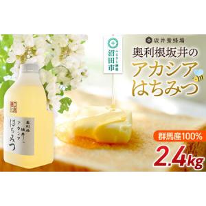 ふるさと納税 加工品等 はちみつ 群馬県 沼田市 奥利根坂井のアカシア