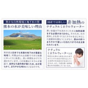 ふるさと納税 【3ヶ月定期便】水 500ml ...の詳細画像1