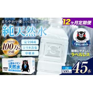 ふるさと納税 【12ヶ月定期便】水 500ml ...の商品画像