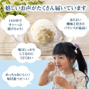 ふるさと納税 北海道 プレミアムミルクアイスク...の詳細画像2