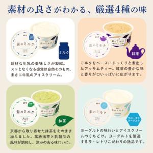 ふるさと納税 【定期便:全12回】北海道 アイ...の詳細画像3
