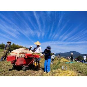ふるさと納税 自然栽培米の米粉 10kg 京都...の詳細画像2