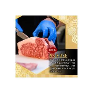 ふるさと納税 <定期便・全10回(連続)>博多...の詳細画像2