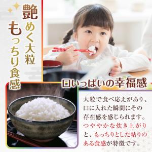ふるさと納税 米 にじのきらめき 和歌山県産 ...の詳細画像2