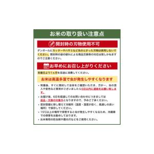 ふるさと納税 米 にじのきらめき 和歌山県産 ...の詳細画像4