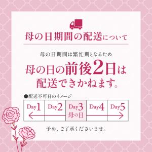 ふるさと納税 ドライフラワー の ハンガー ア...の詳細画像1