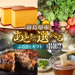 ふるさと納税 【あとから選べる】南島原市 ふるさとギフト 100万円分 / 寄付 あとから寄附 あとからギフト あとからセレクト あとからチョイス.. 長崎県南島原市