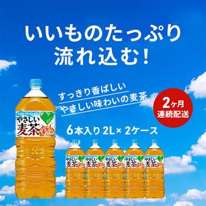ふるさと納税 麦茶 定期便 2ヶ月 サントリー...の詳細画像1