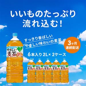 ふるさと納税 麦茶 定期便 3ヶ月 サントリー...の詳細画像1