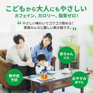 ふるさと納税 麦茶 定期便 3ヶ月 サントリー...の詳細画像3