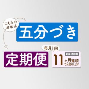 ふるさと納税 《新米先行受付》《定期便11ヶ月...の詳細画像3