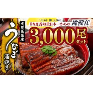 ふるさと納税 最高級 特上 幻の青うなぎ 6尾 うなぎ 愛知県田原市