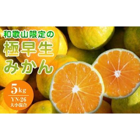 ふるさと納税 EA6105_【2026年先行予約】和歌山県限定の極早生みかん 5kg (YN-26 ...
