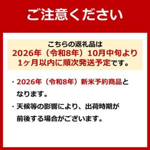 ふるさと納税 【年間定期便令和8年新米予約】南...の詳細画像1