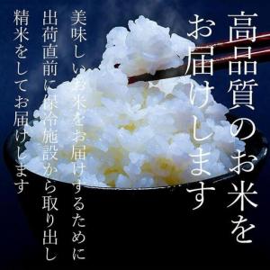 ふるさと納税 【年間定期便令和8年新米予約】南...の詳細画像3