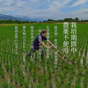 ふるさと納税 【年間定期便令和8年新米予約】南...の詳細画像4