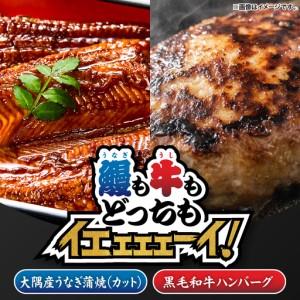 ふるさと納税 2471 【鰻も牛もどっちもイエェェェーイ！4】鹿児島県大隅産「カット」 うなぎ蒲焼 80g×1枚 うしの中山和牛100% ハンバーグ.. 鹿児島県鹿屋市