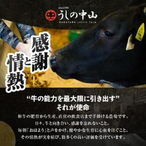 ふるさと納税 2471 【鰻も牛もどっちもイエ...の詳細画像1