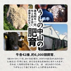 ふるさと納税 2471 【鰻も牛もどっちもイエ...の詳細画像3