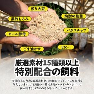 ふるさと納税 2471 【鰻も牛もどっちもイエ...の詳細画像4