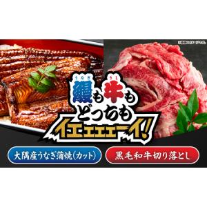ふるさと納税 2474 【 鰻 も 牛 もどっちもイエェェェーイ！7】鹿児島県大隅産「カット」 うなぎ蒲焼 80g×2枚 最高級A5・ 黒毛和牛 切り.. 鹿児島県鹿屋市