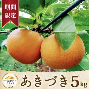 ふるさと納税 【 JA 北つくば 】 筑西ブランド 認証品 あきづき 5kg 2026年産 先行予約 梨 茨城県筑西市